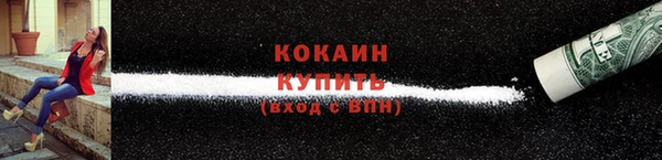 индика Богданович