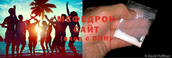 индика Богданович
