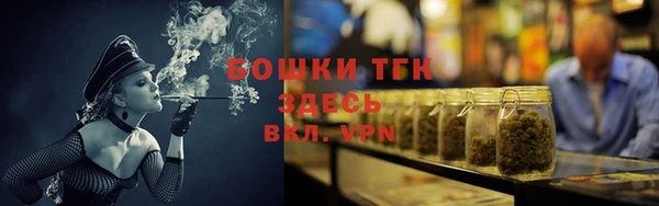 индика Богданович