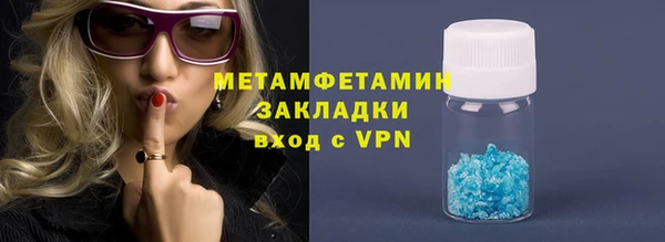индика Богданович