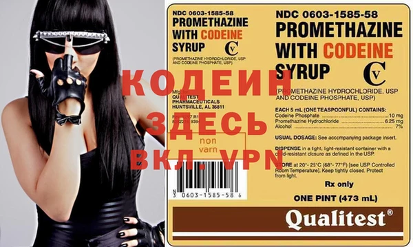 индика Богданович