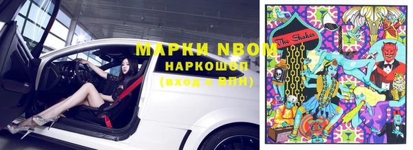 индика Богданович