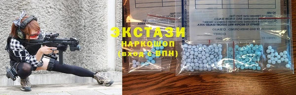 индика Богданович
