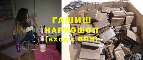 индика Богданович