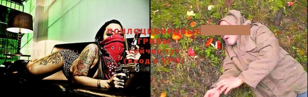 MDMA Богородицк