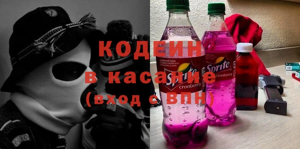 индика Богданович