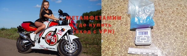 индика Богданович