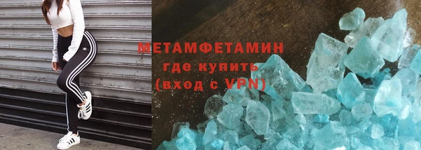 индика Богданович