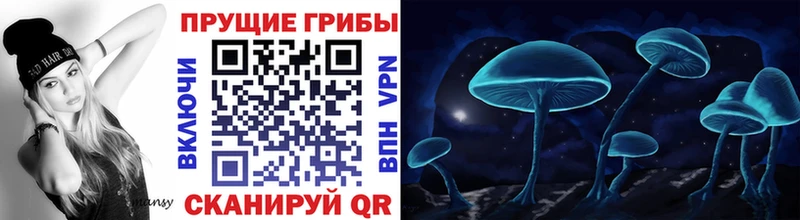 Галлюциногенные грибы Psilocybine cubensis  кракен tor  Волжский 